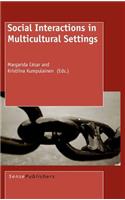 Social Interactions in Multicultural Settings