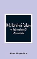 Dick Hamilton'S Fortune; Or, The Stirring Doings Of A Millionaire'S Son