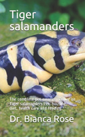 Tiger salamanders
