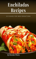 Enchiladas Recipes: 20 dishes for new sensations