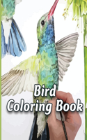 Bird Coloring Book