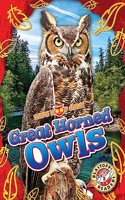 Great Horned Owls