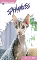 Cat Breeds: Sphynxes