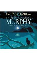 Cat Chase the Moon