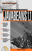 Programming Javabeams Beans