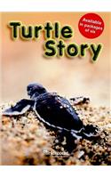 Turtle Story, Above Level Grade 3