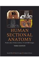 Human Sectional Anatomy