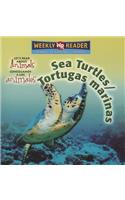 Sea Turtles / Tortugas Marinas
