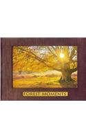 Forest Moments
