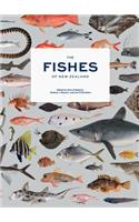 Fishes of New Zealand, The