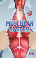 Muscular System