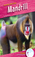 Mandrill: (Animals with Color)