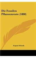 Fossilen Pflanzenreste (1888)