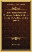 Druhe Zasedani Snemu Kralovstvi Ceskeho V Mesici Dubnu 1867 A Nase Slechta (1867)