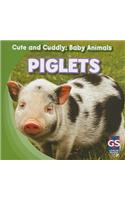 Piglets