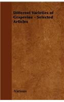 Different Varieties of Grapevine - Selected Articles