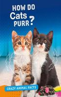 How Do Cats Purr?