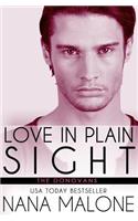 Love in Plain Sight: New Adult Romance