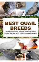 Best Quail Breeds