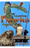 counting hawks