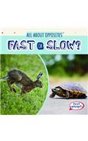 Fast or Slow?