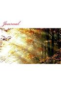 Journal