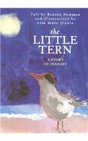 Little Tern