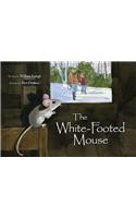 The White-Footed Mouse