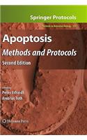 Apoptosis