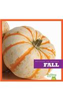 Fall