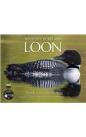 Journey with the Loon