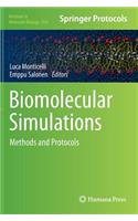 Biomolecular Simulations: Methods and Protocols