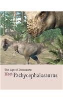 Meet Pachycephalosaurus