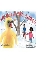 Aquila The Eagle