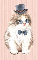 The Cat Lover Collection