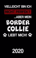 Border Collie 2020: Kalender Lustiger Hütehund Hunde Spruch Terminplaner Frauchen Herrchen Terminkalender Wochenplaner, Monatsplaner & Jahresplaner für Hundefrauchen & 