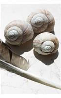 Shells Notebook
