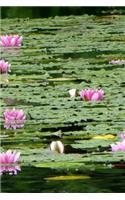 Water Lily Notebook
