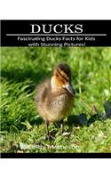 Ducks: Fascinating Ducks Facts for Kids with Stunning Pictures!