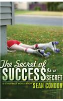 The Secret of Success is a Secret