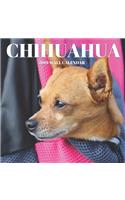 Chihuahua 2019 Wall Calendar
