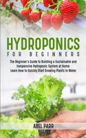 Hydroponics For Beginners
