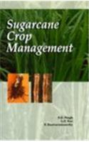Sugarcane Crop Management