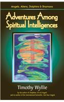 Adventures Among Spiritual Intelligences: Angels, Aliens, Dolphins & Shamans