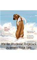 Wie der Rhodesian Ridgeback zu seinem Ridge kam