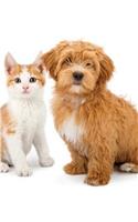 Havanese & Tabby Kitten Notebook, Diary, Journal. Productivity Work Planner & Idea Notepad