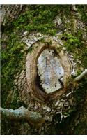 Knot in a Tree Trunk Surrounded by Moss Journal