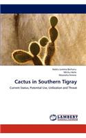Cactus in Southern Tigray