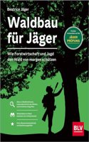 Waldbau fur Jager: Wie Forstwirtschaft und Jagd den Wald von morgen schutzen
