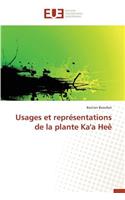 Usages et représentations de la plante ka'a heê